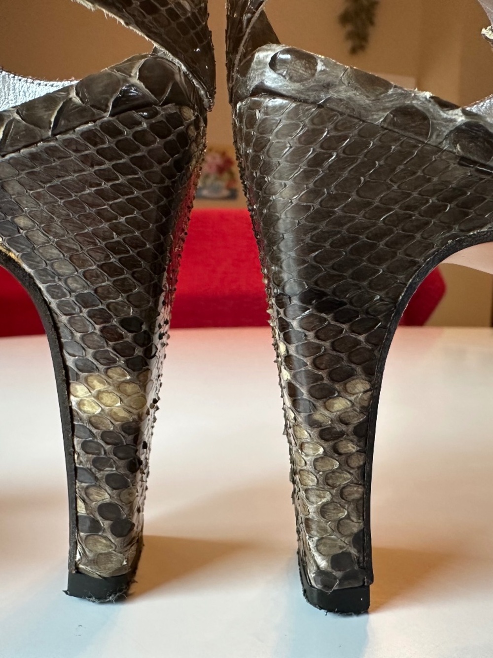 Python Heels - Picture 11 of 16